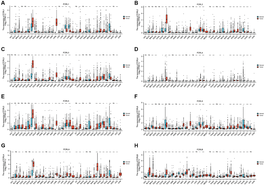 mRNA expression profile of FCRL family gene in 33 cancers. Expression of (A) FCRL1, (B) FCRL2, (C) FCRL3, (D) FCRL4, (E) FCRL5, (F) FCRL6, (G) FCRLA, (H) FCRLB mRNA in 33 cancers and normal tissues in unpaired sample analysis. ∗p ∗∗p ∗∗∗p 