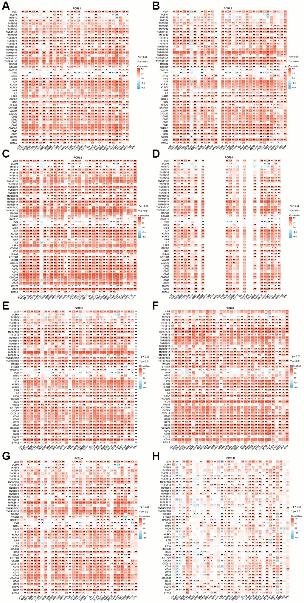 Correlation of FCRL family genes with markers of immunostimulators in pan-cancer. Correlations between (A) FCRL1, (B) FCRL2, (C) FCRL3, (D) FCRL4, (E) FCRL5, (F) FCRL6, (G) FCRLA, (H) FCRLB expression and markers of immunostimulators. ∗p ∗∗p 