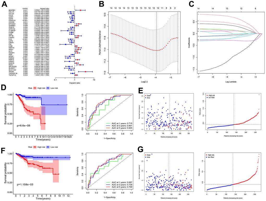 Screening of prognosis RBP and construction of prognosis model. (A) Univariate Cox regression analysis to identify the candidate prognosis-related hub IRGS in UCEC. (B) Partial likelihood deviation was plotted relative to the logarithm of lambda in 13-fold cross-validation. (C) The trajectory graph of each variable. (D) Survival curves and ROC curves of high and low risk groups in the training group. (E) The risk score value of each sample, the survival status ranked from low to high-risk scores in the training group. (F) Survival curves and ROC curves of high and low risk groups in the test group. (G) The risk score value of each sample, the survival status ranked from low to high-risk scores in the test group.