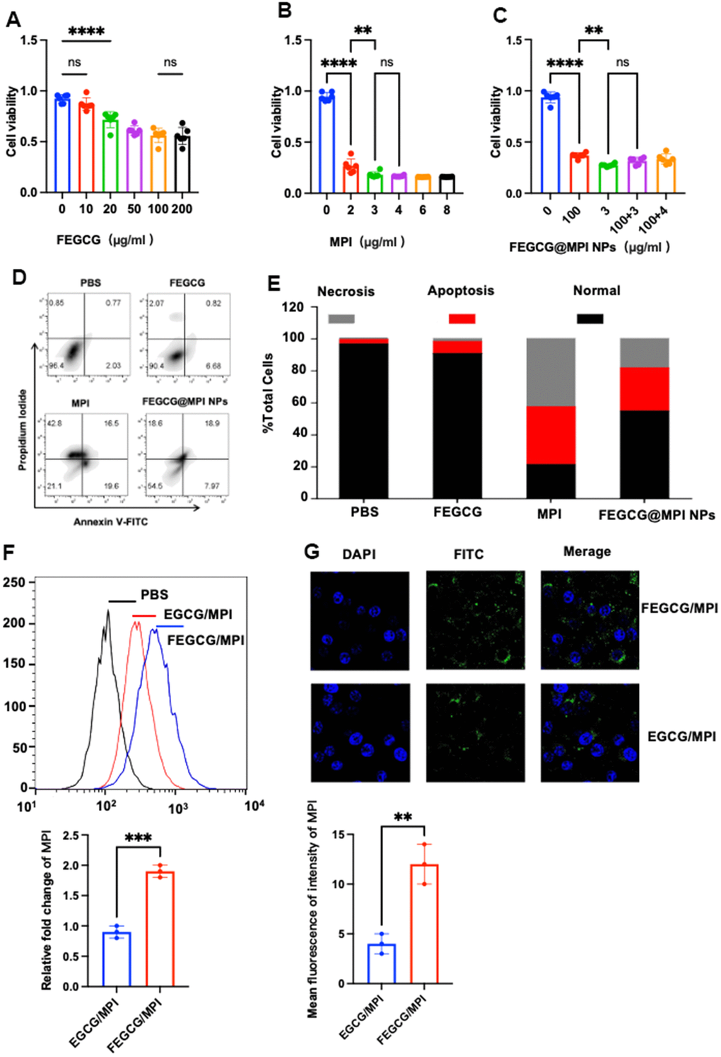 Biology functions of FEGCG@MPI NPs in vitro. (A–C) CCK-8 assays were used to detect the viability of Hepatoma cells (Hep 3B cell) after treatment with various concentrations of FEGCG, MPI and FEGCG@MPI NPs separately. (D, E) Apoptosis of Hep3B cells after PBS, FEGCG, MPI, and FEGCG/MPI treatments (n = 4). (F, G) The cytosolic delivery efficiency of EGCG/MPI, and FEGCG/MPI complexes determined by confocal microscopy and flow cytometry. Scale bar=100μm. Data are presented as the mean ± standard deviation. *P **P 