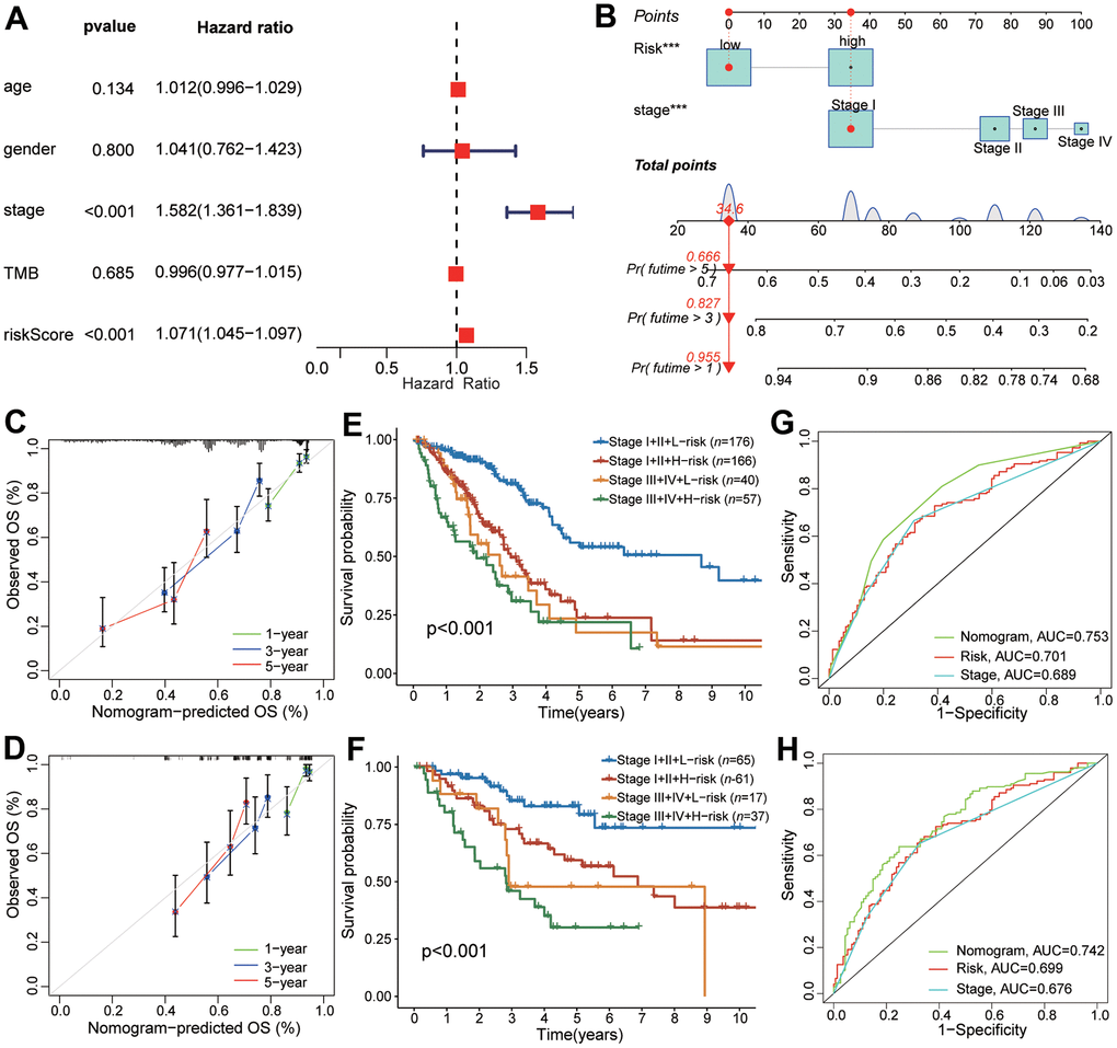 The predictive performance of CAFRS in combination with TNM stage in OS for LUAD patients. (A) The forest plot of multivariate Cox regression analysis for OS of TCGA-LUAD. (B) Nomogram of predicting 1-, 3-, and 5- year OS for TCGA-LUAD. (C, D) Calibration curves of the nomogram at 1-, 3-, and 5-year for LUAD patients from TCGA and GSE41271. Gray line indicates the ideal curve. The green, blue and red lines indicate bias-corrected curve at 1-, 3-, and 5-year. Dots are quartiles of our data set. (E, F) Kaplan-Meier curves of LUAD patients from TCGA and GSE41271 stratified by TNM stage and riskscore. (G, H) The ROC curves of TCGA and GSE41271 illustrating the AUC values of nomogram, CAFRS and TNM stage at 5-year.