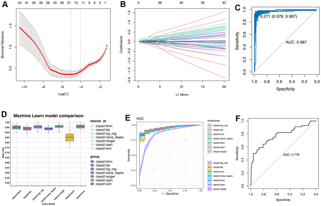 Machine learning constructs model for predicting the regeneration-related hepatocytes. (A) Lasso algorithm for selection features for regeneration-related hepatocytes. (B) Coefficient changes of the selected features using lasso algorithm. (C) Bootstrap algorithm for internal validation of the constructed model. (D) Machine learning algorithms for building the regeneration-related hepatocyte model. Seven machine learning algorithms were used in the mlr3verse (version 0.2.7) package in R (https://CRAN.R-project.org/package=mlr3verse). (E) ROC values of all seven algorithms were showed in training cohort. (F) ROC values of the SVM model in test cohort.