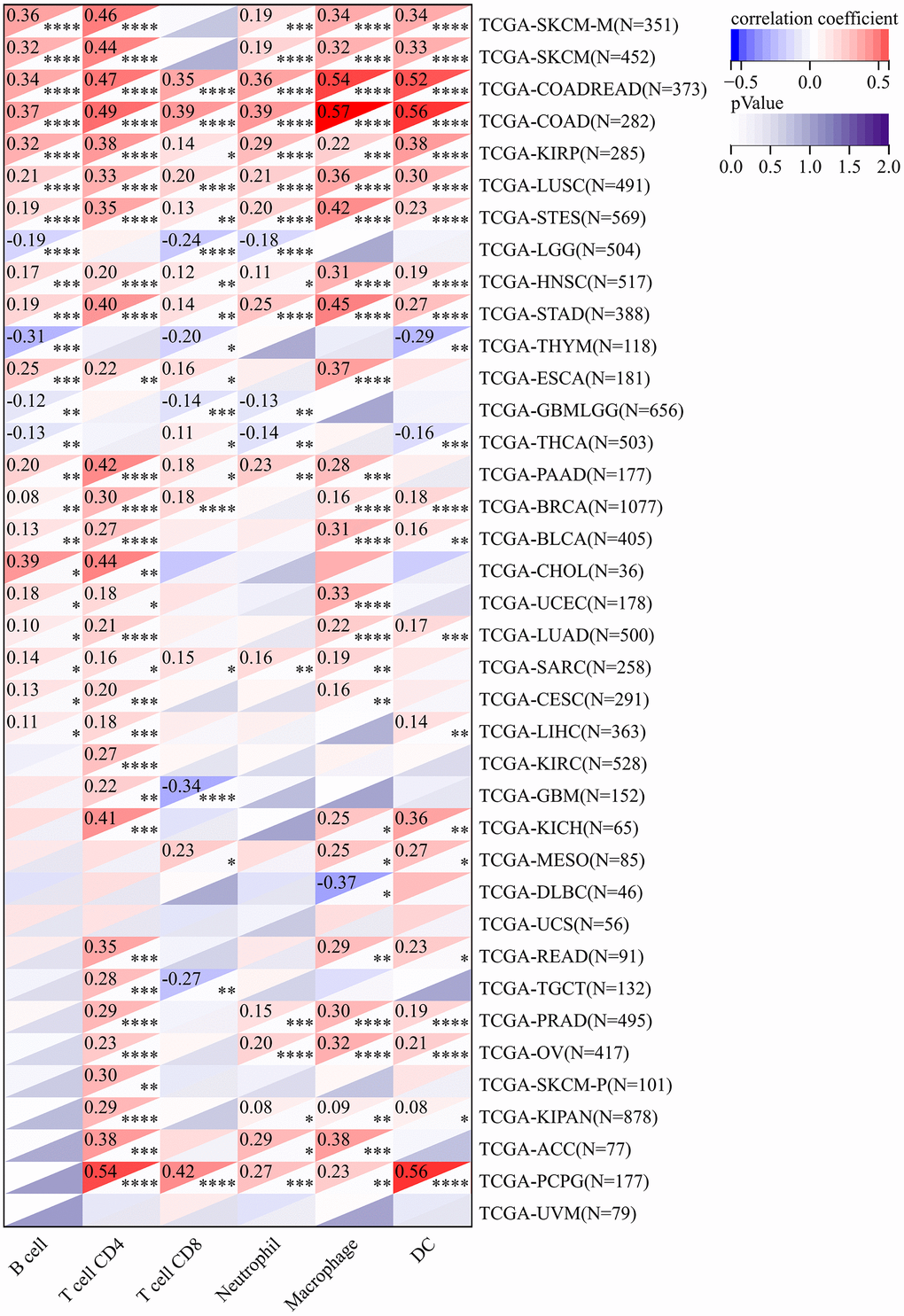 In the TIMER database, CLDN5 expression was found to be significantly correlated with the levels of infiltration of various immune cells. * p 