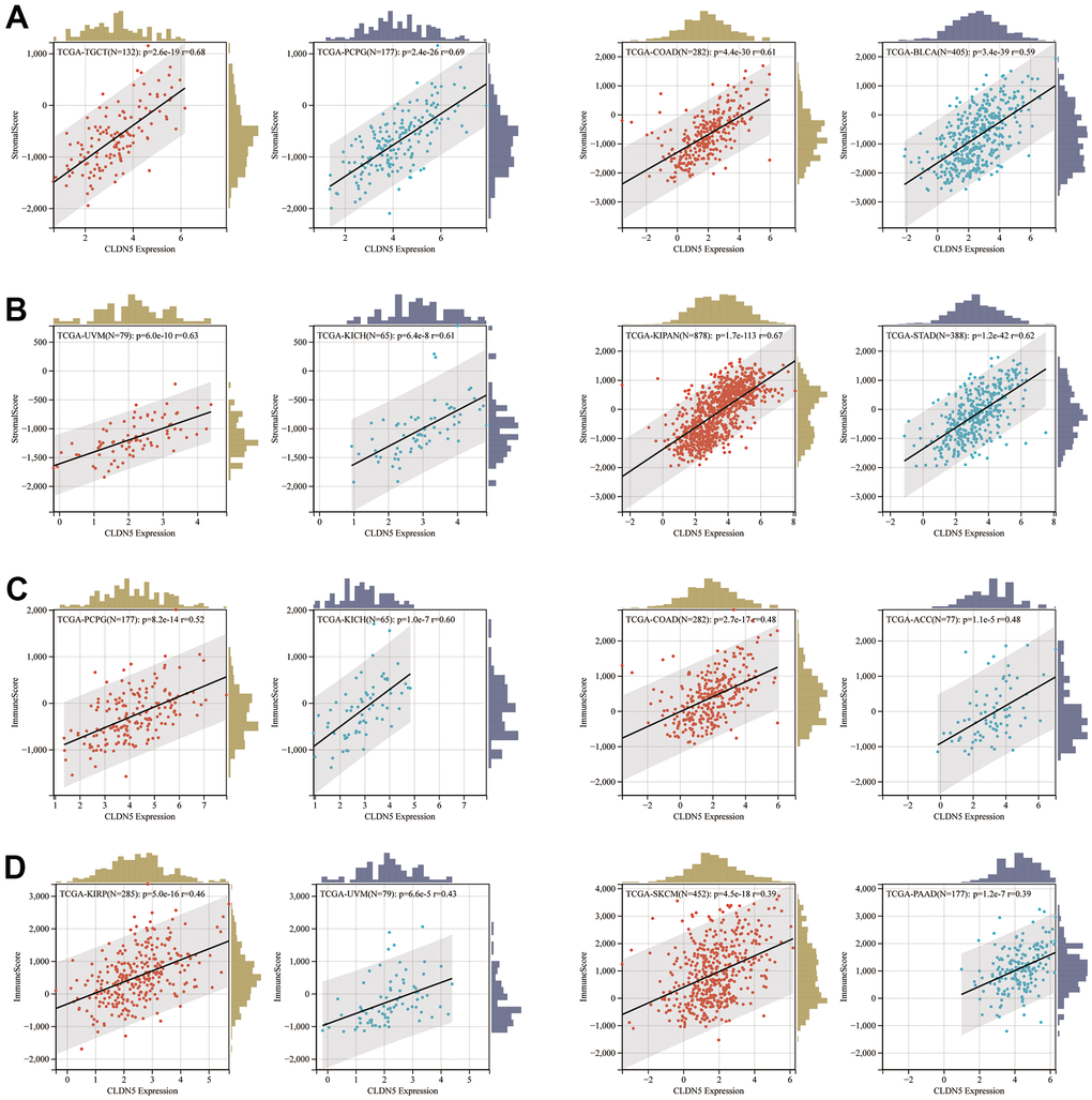 The positive association between CLDN5 expression and stromal score (A, B) and immune score (C, D) in top 8 tumors.