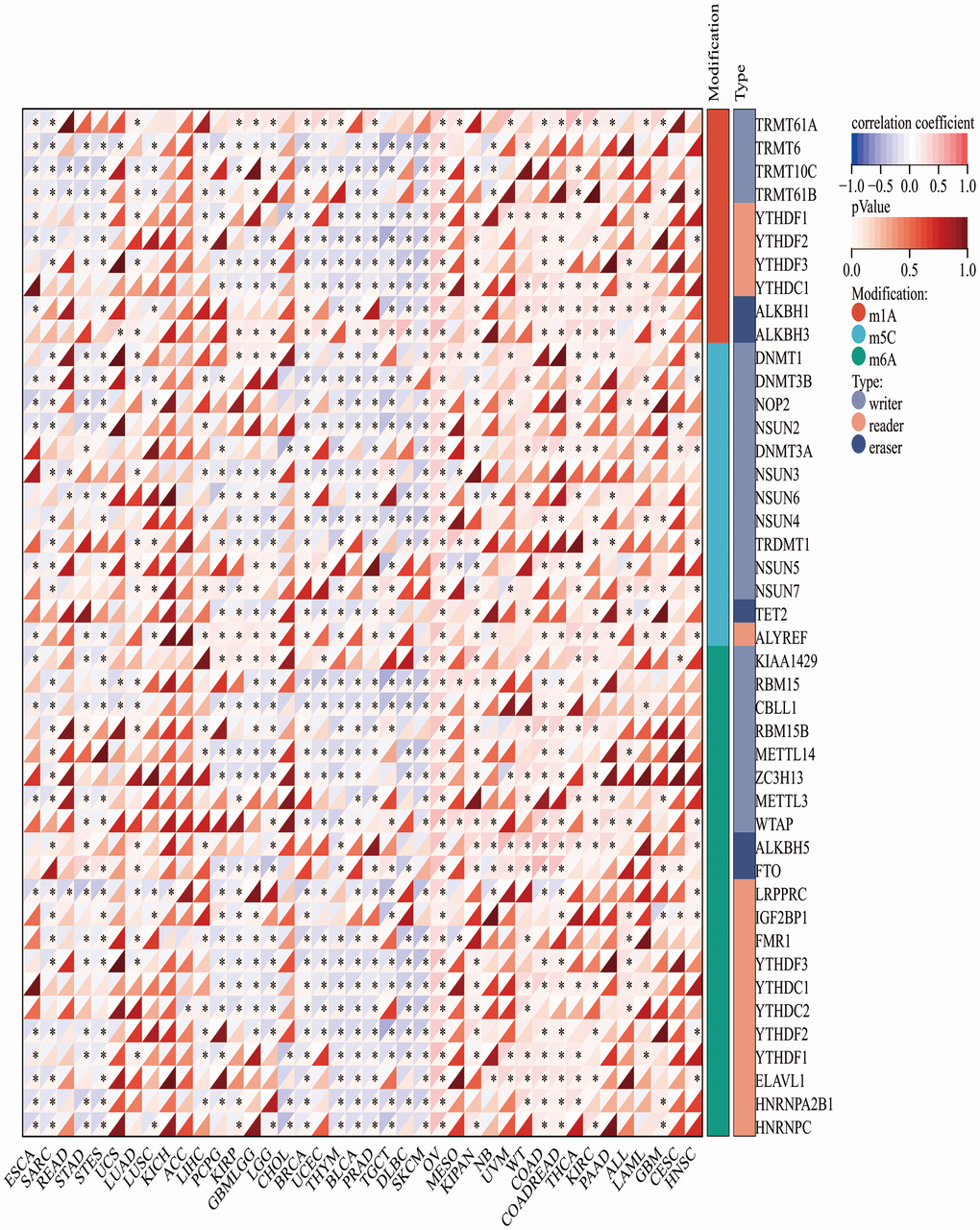 The association heatmaps between CLDN5 expression and DNA methylesterase genes expression in 33 tumors *P 