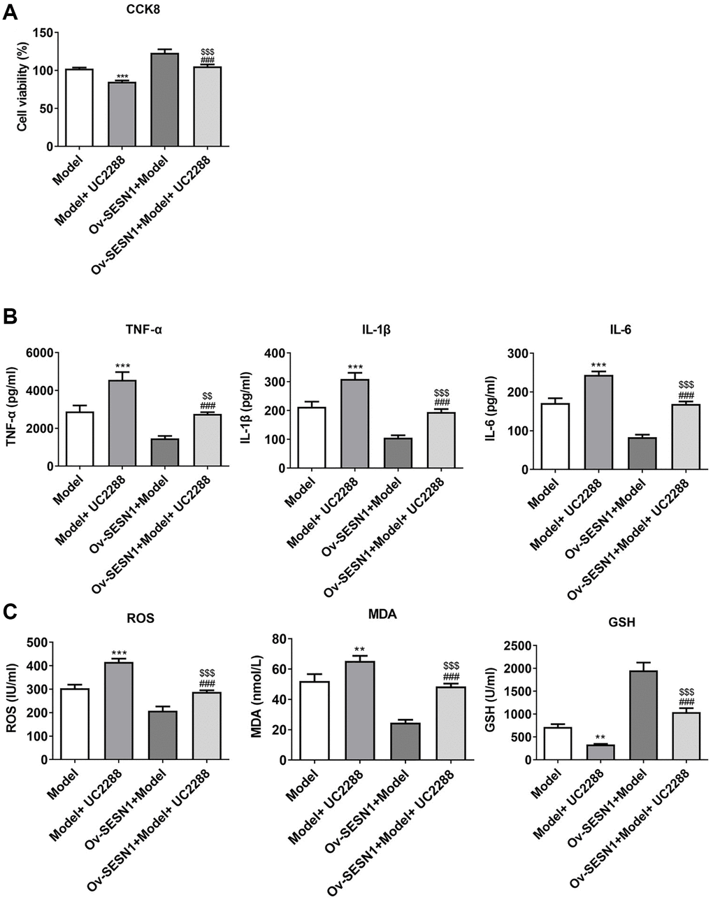 Overexpression of SESN1 increased cell activity and inhibited cellular inflammation and oxidative stress responses in ox-LDL-induced HUVECs via activating P21. (A) CCK8 was used to detect the cell activity. (B) ELISA was used to detect the levels of inflammatory factors in cells. (C) The kits were used to detect the expression of oxidative stress-related factors ROS, MDA and GSH. ***P ###P $$P $$$P 