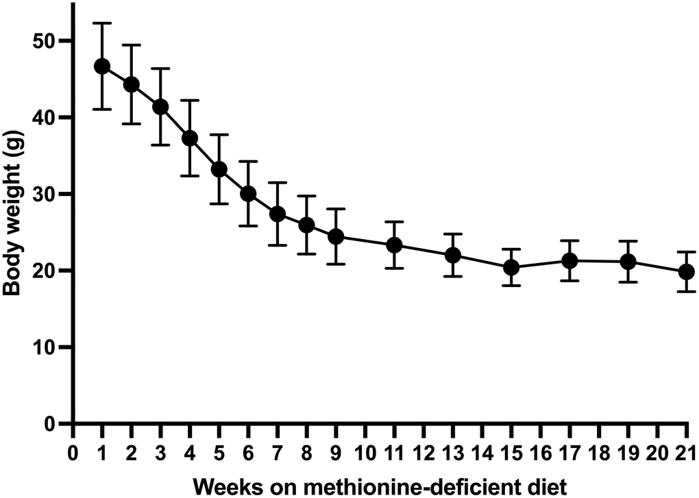 Long-term body weight change in mice on the methionine-deficient diet.