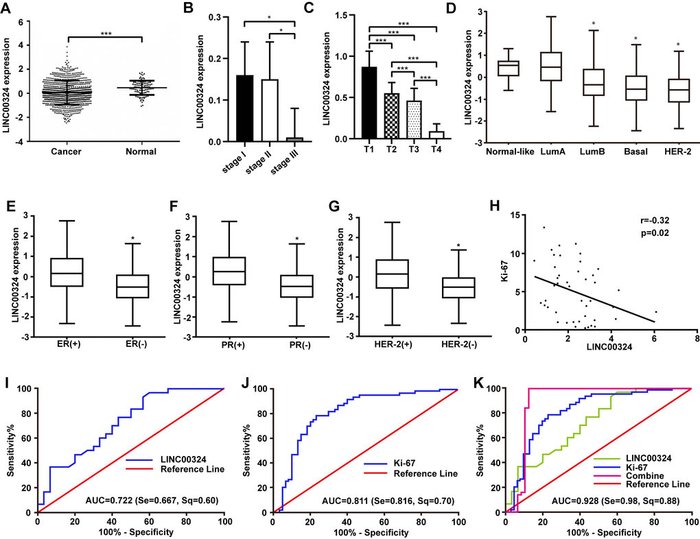 Highly expressed LINC00324 that is involved in breast cancer was identified by bioinformatics prediction. (A) Relative expression of LINC00324 in normal and breast cancer tissue. (B, C) Relative expression of LINC00324 in different clinical stages of breast cancer. (D) Relative expression of LINC00324 in five molecular subtypes of breast cancer. (E) Relative expression of LINC00324 in estrogen receptor (ER)-positive and -negative breast cancer. (F) LINC00324 expression in progesterone receptor (PR)-positive and -negative breast cancer. (G) LINC00324 expression in HER-2-positive and -negative breast cancer. (H) Pearson’s correlation curve showing the negative correlation between the expression of LINC00324 and Ki-67 in breast cancer. (I–K) ROC curve for breast cancer diagnostic value of LINC00324 and Ki-6. All data are shown as means ± SEM. * P P 