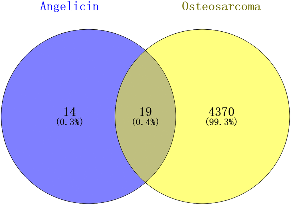 Venn diagram showing the intersection of angelicin-related genes and osteosarcoma-related genes. The angelicin-related targets are shown in the blue circle, and the osteosarcoma-related targets are shown in the yellow circle. The intersection of the two circles indicates potential targets of angelicin in osteosarcoma treatment.