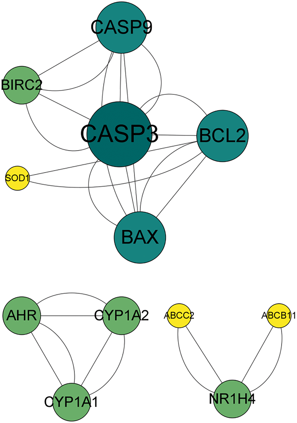 PPI network of the effects of angelicin in the treatment of osteosarcoma. The nodes represent potential therapeutic targets of angelicin in the treatment of osteosarcoma. The larger the node, the darker the color, the higher the target degree, and the higher the number of connections with other nodes.