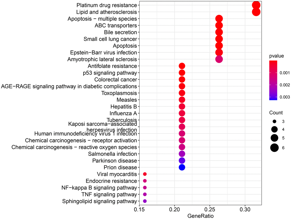 KEGG enrichment analysis for therapeutic targets. The larger the bubble, the more targets are enriched in that pathway, and the redder the color; the smaller the P value, the more meaningful the corresponding signaling pathway.