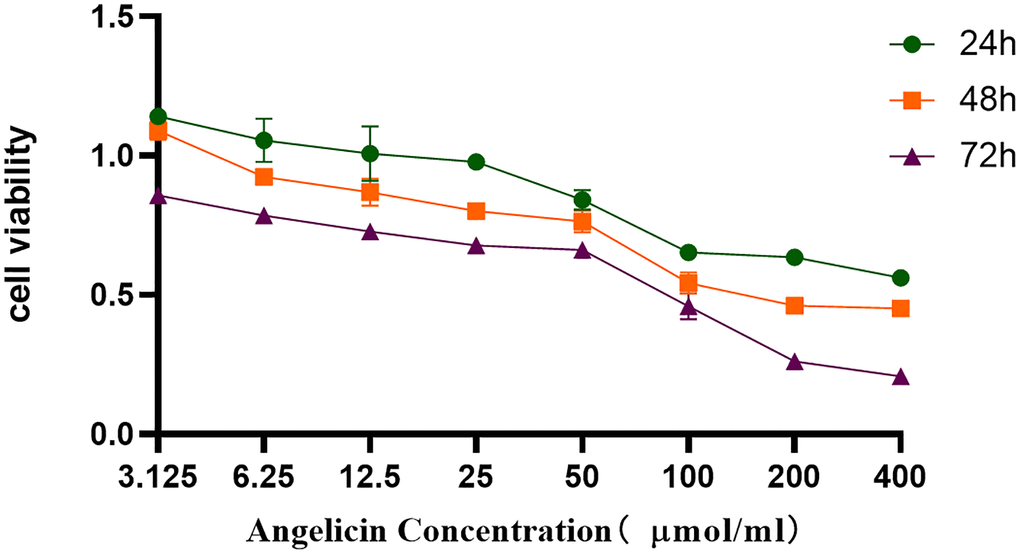 CCK8 assay. Angelicin inhibited the proliferation of osteosarcoma MG63 cells. The viability of osteosarcoma MG63 cells was measured at different time points (24 h, 48 h, or 72 h) of culture with media containing different angelicin concentrations (3.125–400 μmol/ml), and the results are shown as the mean ± standard deviation.