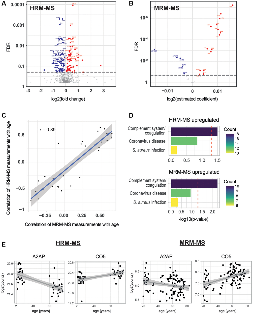 Age-associated proteins in blood plasma. (A) Age-dependent changes for 612 proteins as measured by HRM-MS (untargeted proteomics) in 19 young and 25 old individuals. The volcano plot shows the log2 fold change in protein abundance on the x-axis and the Benjamini-Hochberg (BH) FDR-corrected Mann-Whitney test on the y-axis. Red and blue colors highlight significantly up- and down-regulated proteins, respectively (FDR B) Age-dependent changes for 31 proteins measured by MRM-MS (targeted proteomics) in 103 individuals. A linear model was fitted for each protein, with age as the dependent variable and the log of protein abundance as the independent variable. The volcano plot shows the estimated coefficients on the x-axis and the BH FDR on the y-axis. Red and blue colors highlight significantly up- and down-regulated proteins, respectively (FDR C) Scatter plot of the correlation with age of MRM-MS measurements (x-axis) and HRM-MS (y-axis). Blue line and shadow: linear regression and 95% confidence interval, respectively. (D) KEGG pathway enrichment analysis for significantly up-regulated proteins from the MRM-MS and HRM-MS experiments. For both experiments, the set of all measured 612 proteins was used as a background to compute the significance of age-association. Colors indicate the number of age-associated proteins that are attributed to these pathways. (E) Examples of scatter plots for two proteins detected as age-associated in the two MS experiments.