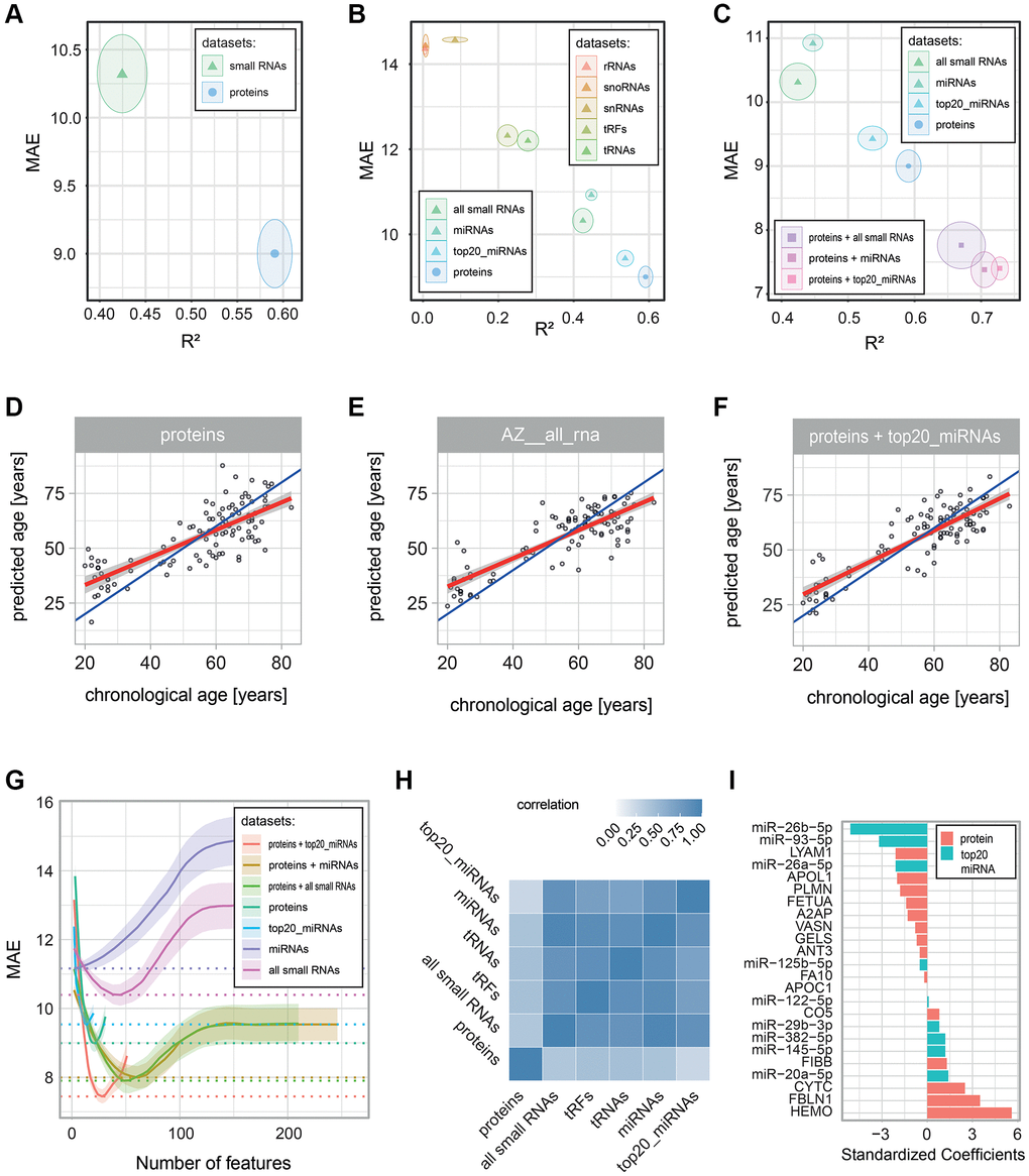 Performance of age-predictive models built on various data types. Age-predictive L1-norm penalized generalized linear models were built using protein and small RNA measurements, either separately or in combinations. Performance was estimated via 10-fold cross-validation with 100 repeats. Prediction errors were determined from predictions based on left-out data (data that was not used to build the model). (A–C) Performance of the built models: the mean (dot) and standard deviation (circle) of two error metrics are shown: the coefficient of determination (R2) on the x-axis and the Mean Absolute Error (MAE) on the y-axis. The panels compare (A) all small RNAs with all proteins, (B) the different classes of small RNAs, and (C) models combining proteins and small RNAs. (D–F) Scatter plots of chronological age vs. predicted age are shown for all individuals in the cohort for (D) the proteomics-based model, (E) the all small RNA-based model, and (F) the proteomics and top 20