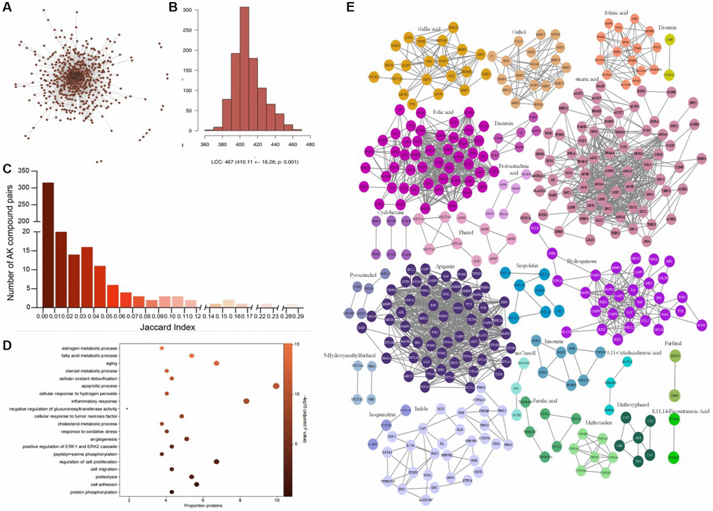 The similarity and congregate feature of the compounds of AAK. (A) Proteins targeted by AAK compounds were not randomly congregated in feature-specific adjacent region of human protein-protein interactome; (B) Proteins targeted by AAK formed a large connected component (LCC) consisting of 467 proteins, and multiple small subgraphs in the human interactome; (C) The results of Jaccard index (JI) among 29 AAK compounds; (D) Top (n = 20) enriched gene ontology terms (Biological Process)among all AAK compounds’ targets; (E) Protein–protein interactions of 29 AAK compounds’ targets).