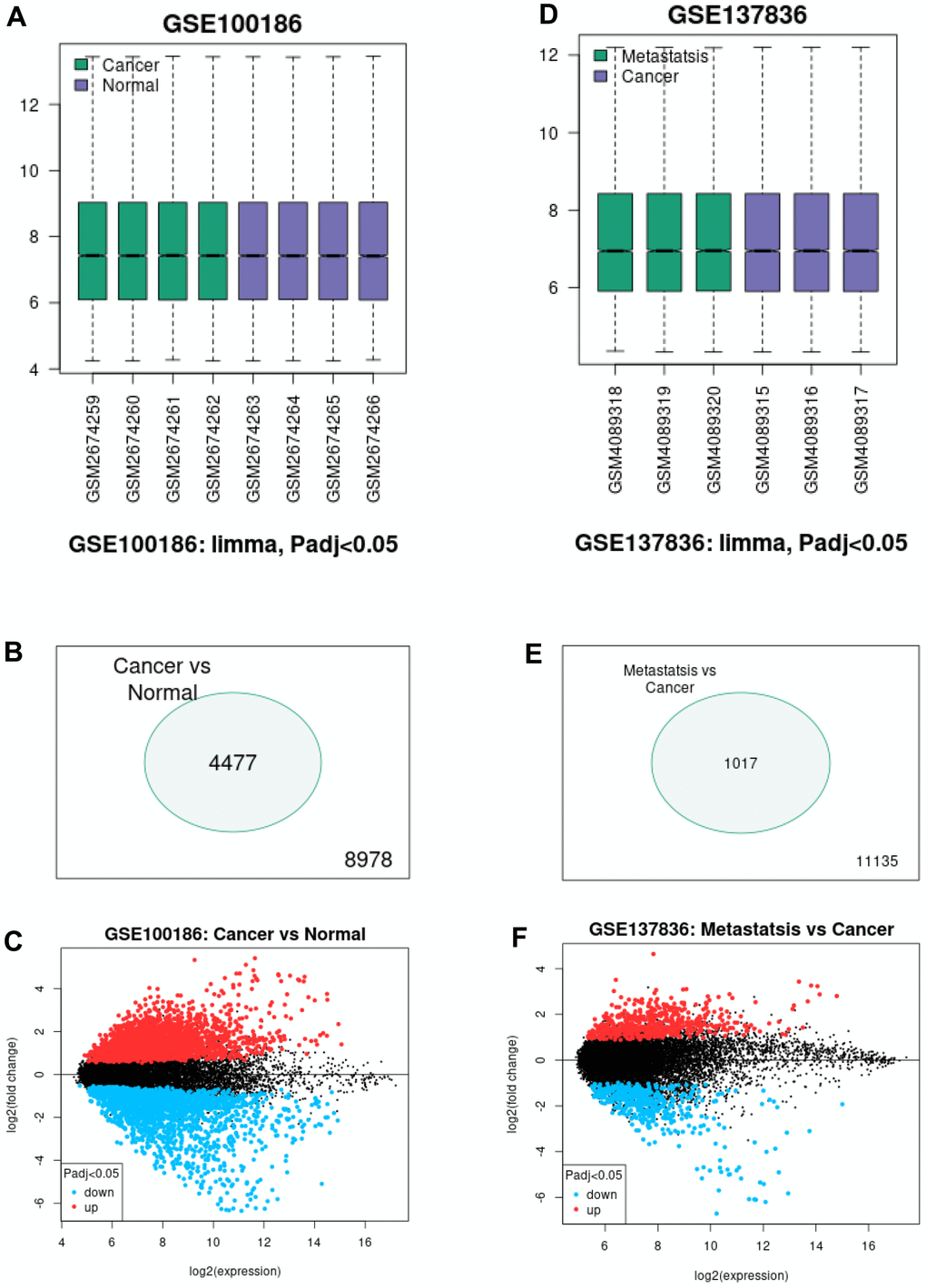 Screening of differentially expressed circRNAs (DECs) associated with malignant metastasis of ccRCC. (A) The normalization of samples in GSE100186 analyzed by GEO2R online tool. (B) The significant DECs between ccRCC cancer tissues and normal tissues. (C) The volcano plot of the DECs between ccRCC cancer tissues and normal tissues in GSE100186. (D) The normalization of samples in GSE137836 analyzed by GEO2R online tool. (E) The significant DECs between ccRCC cancer tissues and metastatic cancer tissues. (F) The volcano plot of the DECs between ccRCC cancer tissues and metastatic cancer tissues in GSE137836.