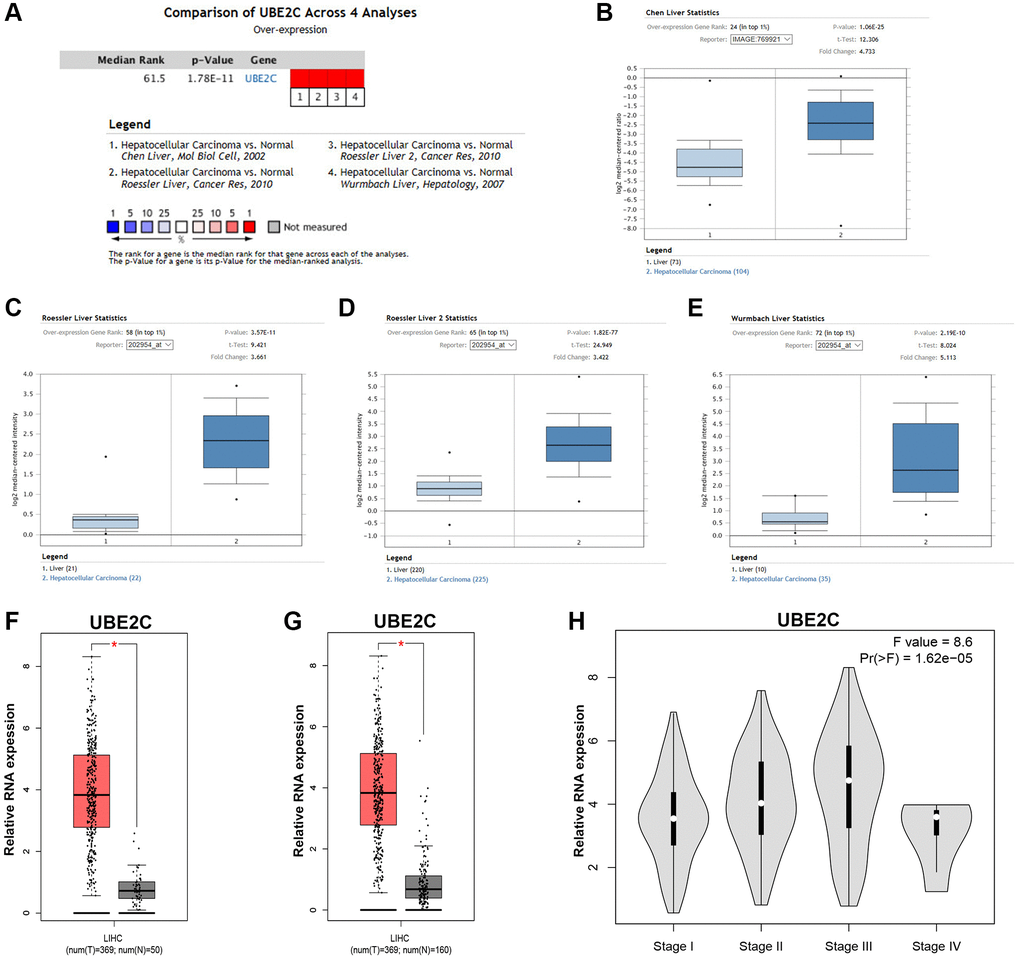 The expression level of UBE2C in HCC. (A) The details of the meta-analyses of UBE2C in HCC from Oncomine database. The legends below the meta-analytical result present detailed information of the 4 selected datasets. UBE2C expression in patients with HCC based on the Chen Liver dataset (B), Roessler Liver dataset (C), Roessler Liver 2 dataset (D) and Wurmbach Liver dataset (E) from Oncomine database. (F) UBE2C expression in 369 HCC samples (TCGA) compared with 50 normal controls (TCGA) from GEPIA database. (G) UBE2C expression in 369 HCC samples (TCGA) compared with 160 normal controls (TCGA and GTEx) from GEPIA database. (H) Expression difference of UBE2C among various major stage of HCC from GEPIA database. “*” represents P-value 