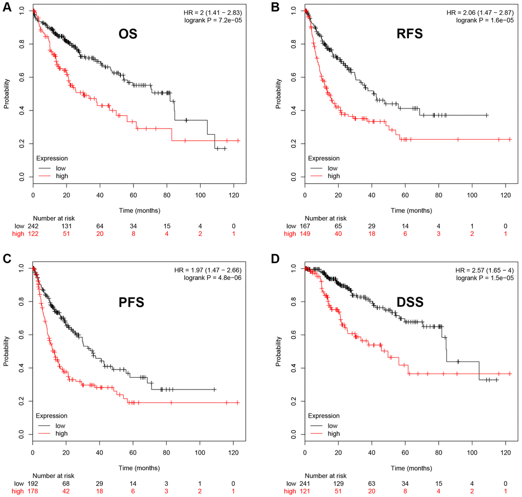 The prognostic value of UBE2C in HCC. HCC patients with higher expression of UBE2C indicated a poorer OS (A), RFS (B), PFS (C) and DSS (D). Logrank P-value 