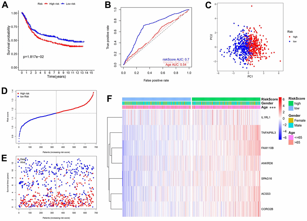 Validation of the prediction model in the GEO database. (A) KM curves and survival analysis. (B) Time-dependent ROC curves and AUCs. (C) PCA analysis. (D) The distribution of risk scores and median values. (E) Scatter plot showing the overall survival of patients. (F) Heatmap of the 7 genes used in the model.