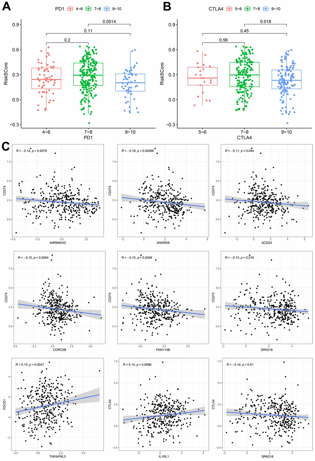 Correlation between the constructed model and ICI. (A) Analysis of risk scores among different IPS-PD1/PDL1/PDL2 groups. (B) Comparation of risk scores in the indicated IPS-CTLA4 groups. (C) Expression correlation between hub nodes and immune checkpoint.