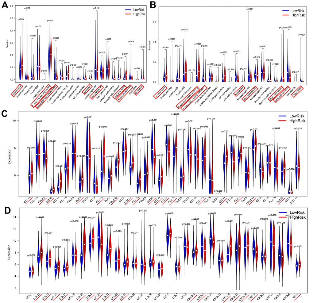 Correlations among risk score, immune cell infiltration and chemokine expression. (A, B) Differential infiltration of immune cells between high- and low-risk groups in the TCGA and GEO databases. (C, D) Differentially expressed chemokines between high- and low-risk groups in TCGA and GEO databases..