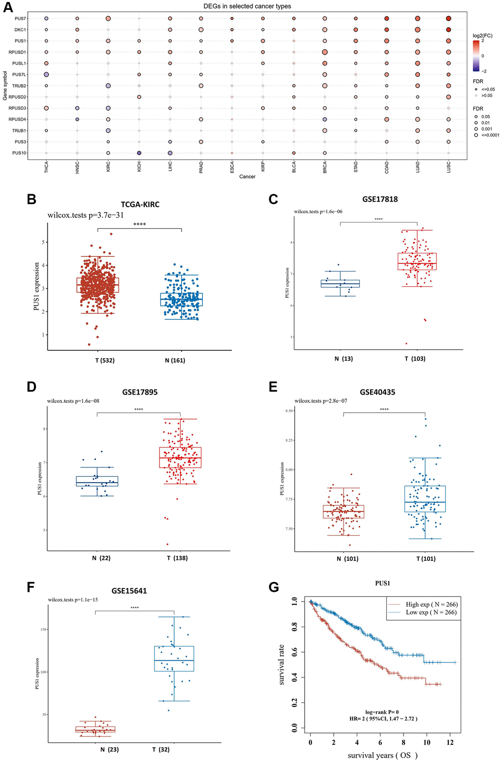 The expression of PUS1 is increased in renal cancer. (A) Expression of PUS family gene in pan-cancer. The color of bubbles represents the difference in expression of PUS family genes between tumor tissues and paired normal para-cancer tissues. Red: up-regulated expression in tumor tissues; blue, down-regulated expression in tumor tissue; bubble size indicates significant difference. (B) The expression of PUS1 in KIRC. Red: tumor tissue; blue: paired para-cancer normal tissue. (C–F) The PUS1 gene expression in four GEO datasets, including GSE17818 (C), GSE17895 (D), GSE40435 (E) and GSE15641 (F). (G) The overall survival (OS) of PUS1 in KIRC. Red: high expression group of PUS1; blue: low expression group of PUS1.