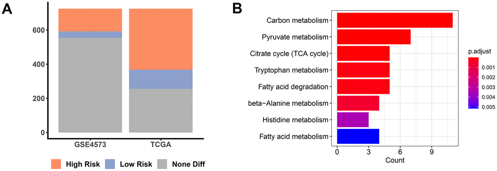 PMMRGs identification in LUAD. (A) The bar chart of prognosis-associated MMRGs in the TGCA and GSE4573 databases. (B) KEGG pathway enrichment analysis of 109 common MMRGs.