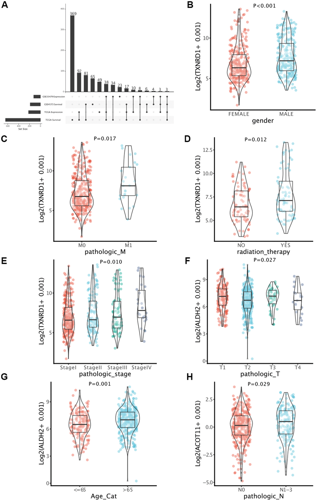Identification of key genes in LUAD. (A) Determination of survival-associated DEMMRGs in LUAD based on four gene lists. (B–H) Boxplots of the correlation between the three genes and clinicopathological characteristics.