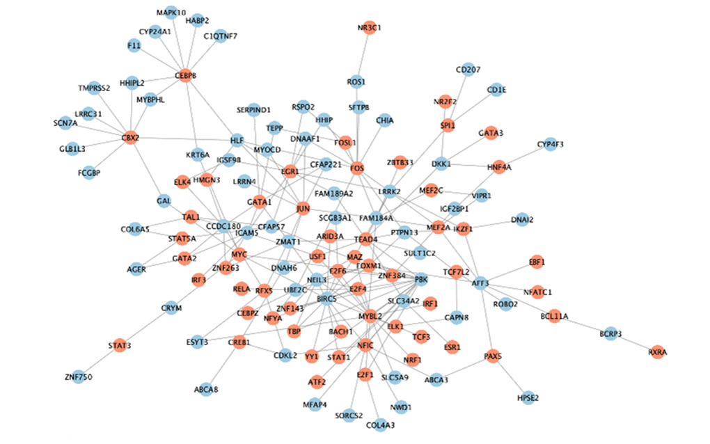 The transcriptional regulatory network of EGR1.