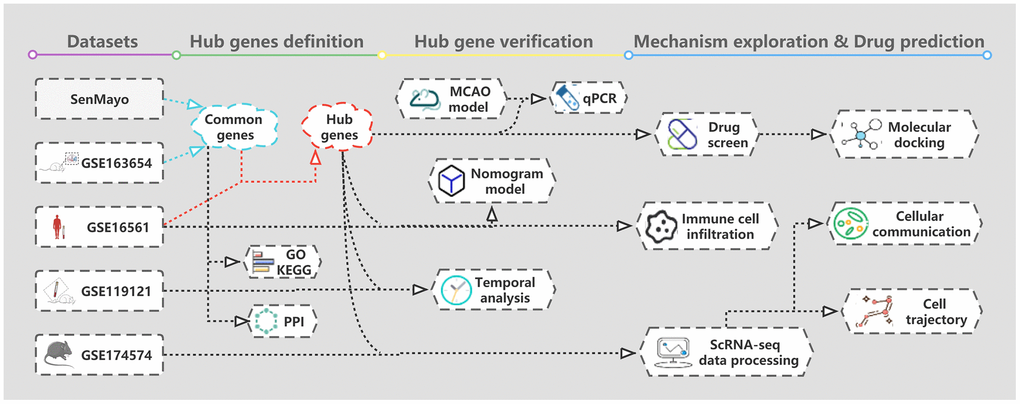 The flowchart of data preparation and analysis.