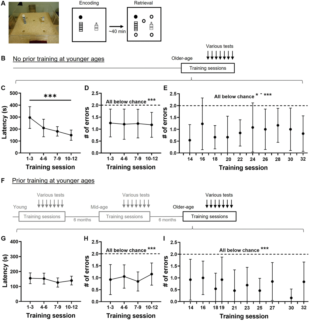 Training performance in the appetitive spatial task. (A) Event arena and training paradigm. The appetitive spatial task was composed of two trials per session. During the encoding trial, the rat found hidden food rewards (filled circle) inside the arena. After a delay, rats would encounter 5 different sandwells (circles) with the same location being rewarded. (B) A group of aged rats (19–23 months old) were trained at the older age followed by interleaving training and probe sessions. Various tests refer to the memory tests presented in Figures 2–5. (C) Latencies to retrieving rewards gradually decline across 4 blocks of training (one-way, repeated measure ANOVA, F3, 12 = 18.8, p D) The number of errors made at retrieval was below chance (dashed line; one-sample t-tests, all p 3, 12 = 0.06, p = 0.96). (E) The number of errors made at retrieval during interleaving training was below chance throughout the study (all p F) A second group of rats was trained and tested in young (3–5 months old), in middle age (11–13 months old), and at later age (19–23 months old). Various tests at the older age refer to the memory tests presented in Figure 2–5. (G) Latencies to retrieving rewards were stable (one-way, repeated measures ANOVA, F3, 12 = 2.31, p = 0.11). (H) The number of errors made at retrieval was below chance (dashed line; all p 3, 12 = 0.89, p = 0.44). (I) The number of errors made at interleaving retrieval trials was below chance (all p *p **p ***p 