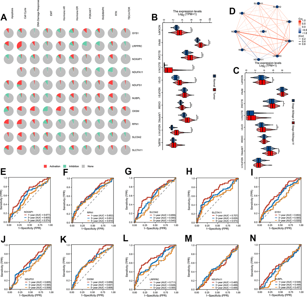 mRNA expression levels and predictive efficiency of 10 DRG in TCGA-LIHC cohort. (A) The relationship between 10 DRG and tumor signaling pathways. (B) The expression distribution of 10 DRG between tumor and normal. (C) The expression distribution of 10 DRG between stage III & stage IV than stage I & stage II. (D) Correlation map of 10 DRG. (E–N) ROC analysis showed the predict performance 10 DRG.