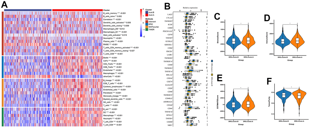 TME between the 2 DRG.cluster. (A) The relationship between the 2 DRG.clusters and TME. (B) The correlation of immune checkpoint condition in 2 DRG.clusters. (C–F) The ESTIMATE score, stromal score, immune score, and tumor immunity levels in 2 DRG.clusters.