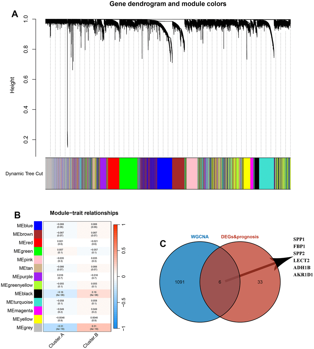 Identification of hub genes between the 2 DRG.cluster. (A) Co-expression network module clustering dendrogram, different colors represent different clusters. (B) Heat map of correlations between gene modules and clinical features of HCC, with red representing positive correlations and blue the opposite. (C) Venn diagram showing common genes between WGCNA and DEGs and prognosis.