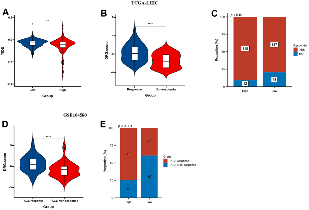 DRG.score in the role of anti-PD-1/L1 immunotherapy. (A) Differences in TIDE among high and low DRG.score groups. (B) Differences in DRG.score among non-response and response groups. (C) The proportion of non-response and response patients in low or high DRG.score groups. (D) Differences in DRG.score among TACE non-response and TACE response groups. (E) The proportion of TACE non-response and TACE response patients in low or high DRG.score groups.
