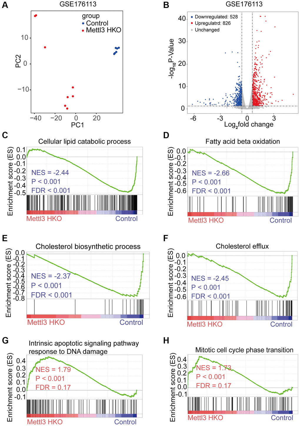 Specific knockout of Mettl3 in hepatocytes results in downregulating lipid metabolism-related genes. (A) Principal component analysis (PCA) plot showing reproducibility among the replicates of each group. (B) Volcano plot showing the differential expression of protein-coding genes in the GSE176113 dataset. (C–H) Gene set enrichment analysis (GSEA) plot of enrichment of indicated signatures in Mettl3 HKO livers using the C5 MSigDB database.