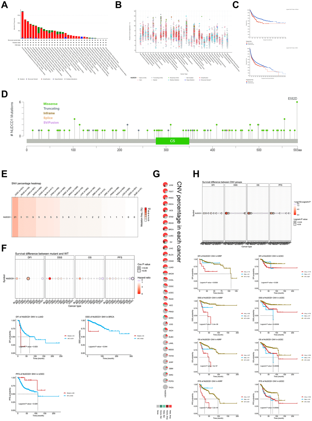 Genetic and epigenetic features of NUDCD1 in different tumors. (A) Alteration frequencies of NUDCD1 across different tumors from cBioPortal. (B) General mutation counts of NUDCD1 in various TCGA cancer types from cBioPortal. (C) Disease free survival (DFS) and progression free survival (PFS) between mutant and WT NUDCD1 in human cancers. (D) Mutation types and sites of NUDCD1 from cBioPortal. (E) SNV (Single Nucleotide Variation) of NUDCD1 in human cancers. The heatmap summarizes the frequency of deleterious mutations (data from GSCA). (F) Survival differences between mutant and WT NUDCD1 in human cancers (data from GSCA). (G) CNV (Copy Number Variation) of NUDCD1 in each cancer type. A global profile for heterozygous/homozygous CNV of NUDCD1 in each cancer (data from GSCA). (H) Survival differences between CNV and WT NUDCD1 in each cancer type (data from GSCA).