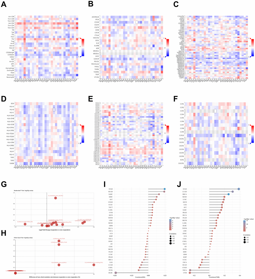 Relationships between tumor - immune system and NUDCD1 expression. Correlations between expression of NUDCD1 and (A) TILs (B) immunoinhibitors (C) immunostimulators (D) MHC (E) chemokines and (F) receptors across human cancers (data from TISIDB). (G) Expression and (H) mutation differences for NUDCD1 between responders and non-responders (data from TISIDB). Correlations between (I) MSI and (J) TMB and NUDCD1 mRNA expression levels in various cancers in the TCGA.