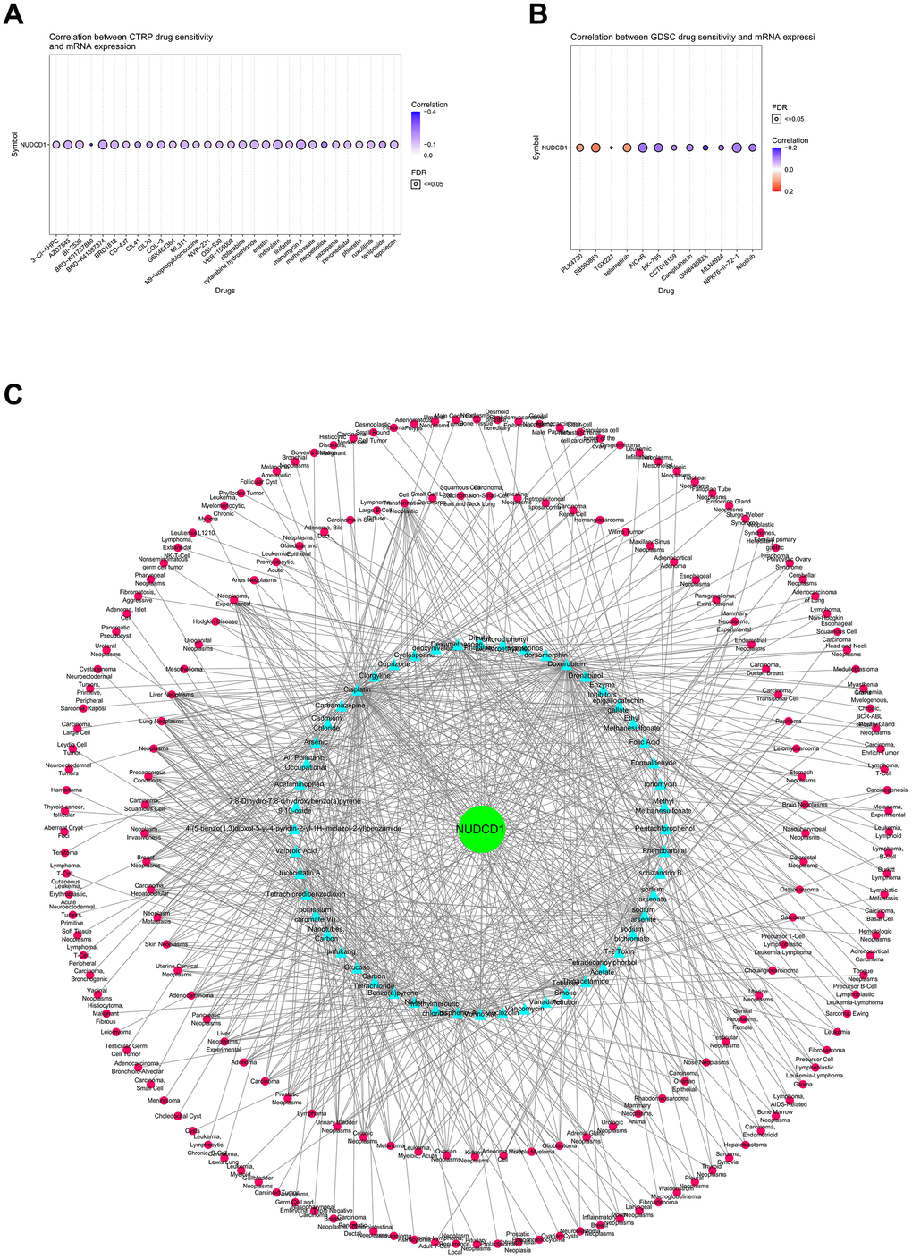 Correlations between NUDCD1 expression and drug sensitivity in cancers. (A) Correlations between NUDCD1 expression and the sensitivity of CTRP drugs (top 30) in pan-cancer (data from GSCA). (B) Correlations between NUDCD1 expression and the sensitivity of GDSC drugs (top 30) in pan-cancer (data from GSCA). (C) Associations between NUDCD1, chemicals and diseases (data from CTD).