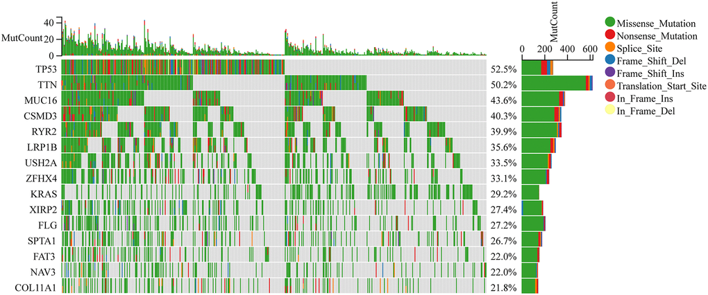 Somatic mutation landscape of lung adenocarcinoma (LUAD) patients in The Cancer Genome Atlas (TCGA) database, which was obtained from the Fire Browse platform (http://firebrowse.org).