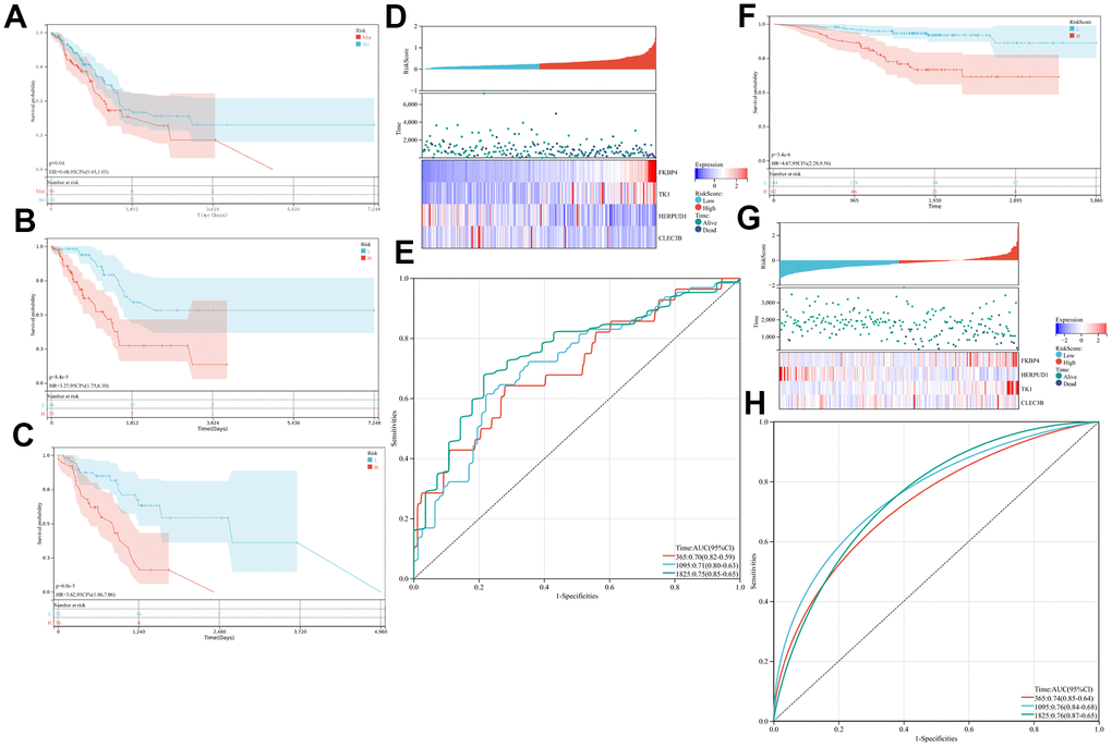 Prognostic analysis of the immune prognostic model (IPM). Kaplan-Meier curves of the difference in overall survival (OS) between high- and low-risk cases in (A–F) the whole The Cancer Genome Atlas (TCGA) and Gene Expression Omnibus (GEO) cohorts, (B) mucin 16 wild-type (MUC16WT) subgroup, and (C) mucin 16 mutation (MUC16MUT) subgroup. (D–G) Relationship between risk score (upper) and expression of two prognostic immune genes (bottom). (E–H) Time-dependent receiver operating characteristic (ROC) curve analysis of the IPM.