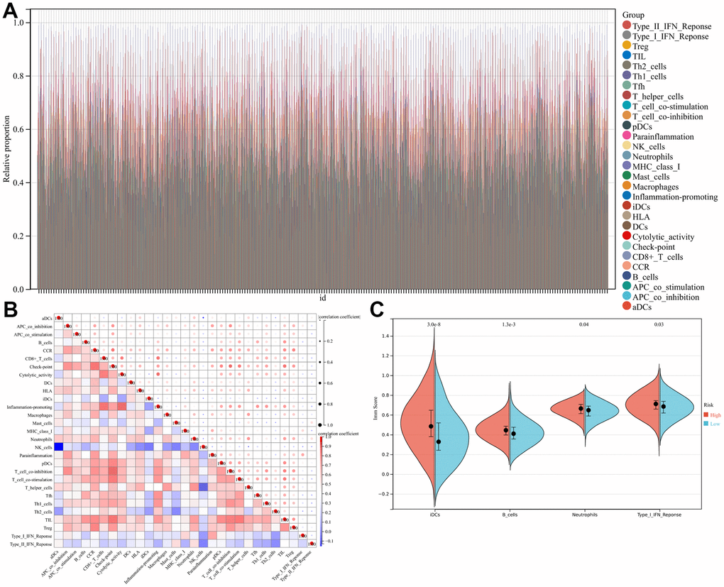 Landscape of immune cell infiltration in high- and low-risk lung adenocarcinoma (LUAD) patients. (A) Relative proportion of immune cell infiltration in high- and low-risk LUAD patients. (B) Correlation matrix of all 29 immune cell proportions. (C) Violin plots illustrating immune cells at significant proportions between high-risk and low-risk patients.