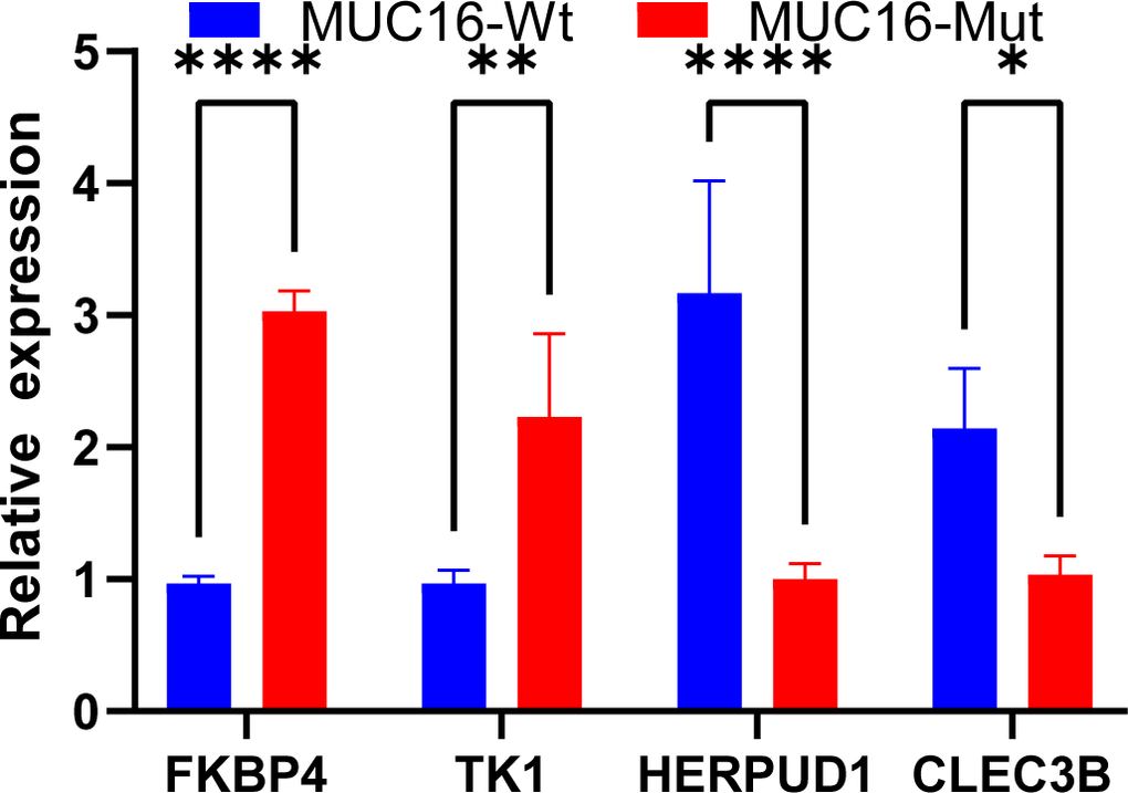 Validation of the immune prognostic model (IPM) in clinical tissue samples by performing qRT-PCR assay in lung adenocarcinoma (LUAD) mucin 16 (MUC16) mutation tissue samples and LUAD non-MUC16 mutation tissue samples.