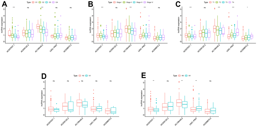 Clinical correlation analysis of LINC-PINT, AC008870.2, AC108449.2, AC009120.2 and AC007637.1. The relations between the expression levels of LINC-PINT, AC008870.2, AC108449.2, AC009120.2 and AC007637.1 with grade (A), stage (B), T-stage (C), N-stage (D) and M-stage (E).