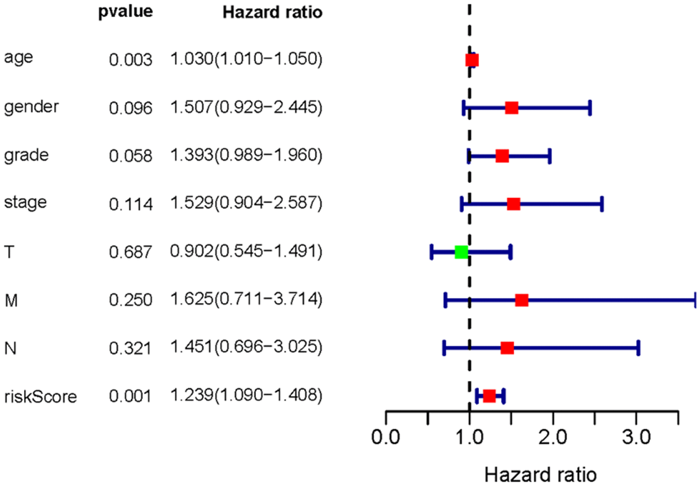 Multivariate Cox analysis of SRSM. Age and the risk score could be served as an independent prognosis factor of ccRCC patients.