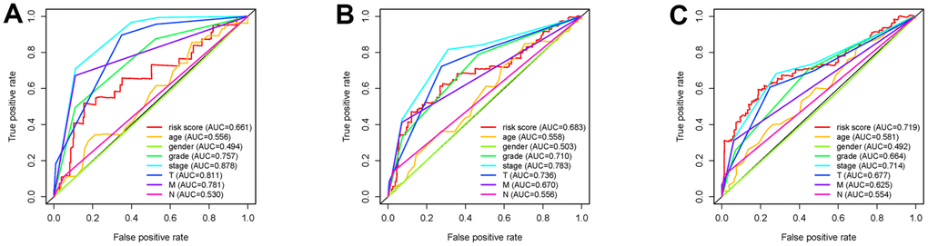 Receiver operating characteristic (ROC) curves. The area under curves (AUCs) of 1-,3- and 5-year SRSM and clinical characters. The 1-,3- and 5-year AUCs’ values of SRSM were 0.661 (A), 0683 (B) and 0.719 (C) respectively.