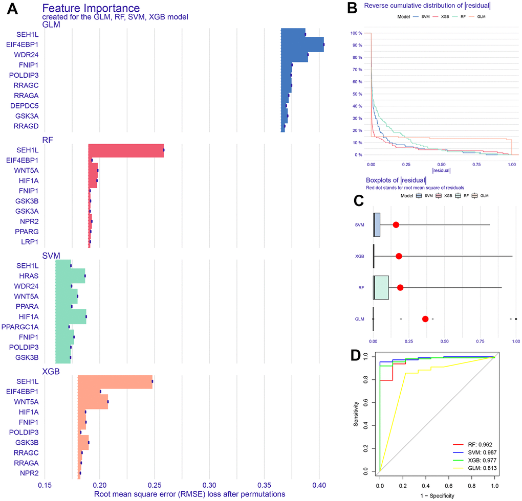 Construction of machine learning model. (A) Top 10 characteristic genes in 4 models. (B, C) Boxplots of residual and reverse cumulative distribution of residual. (D) The area under ROC curve of 4 models.