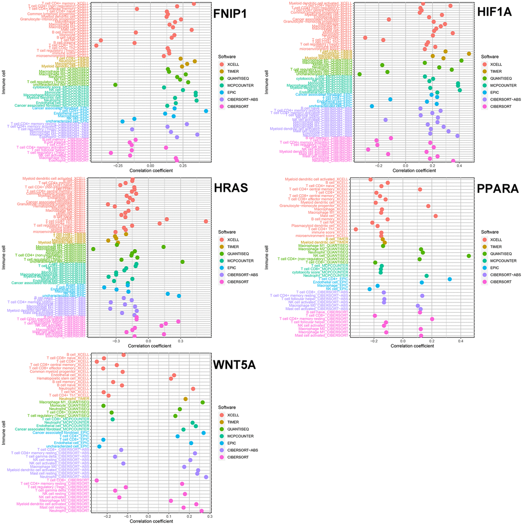 The relationship between five genes and immune cells.