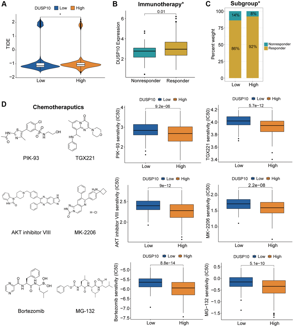 Different responses to immunotherapy/chemotherapy of the two subgroups in the TCGA dataset. (A) Differential TIDE scores in the two subtypes. (B, C) Distinct proportions of non-responders and responders to immunotherapy between the two subgroups. (D) Prediction of response to chemotherapeutics drugs in different subtypes.