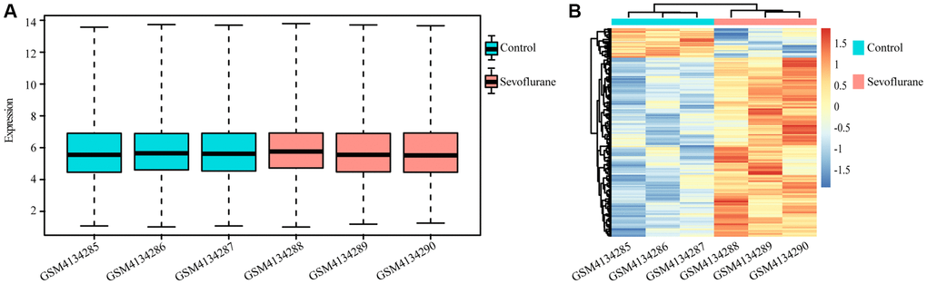 Differentially regulated genes between the control and sevoflurane-treated groups. (A) Boxplot of all genes in each sample. (B) Heatmap of differentially regulated genes in the control and sevoflurane-treated groups, 194 upregulated and 32 downregulated genes after treatment with 2.5% sevoflurane in 100% oxygen for 4 hours. (Green: Control group; Red: sevoflurane-treated group).